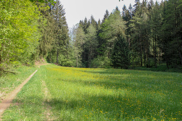 Obraz premium Nature