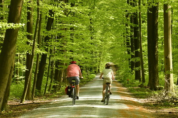 Cycliste sous le feuillage luxuriant des arbres au printemps au bois des Capucins à Tervuren