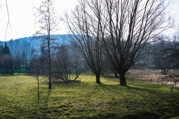 Landschaft im Frühjahr