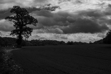 Views of the beautiful north Shropshire countryside between Weston under red castle and Hodnet