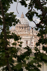 veduta della basilica di san pietro in vaticano