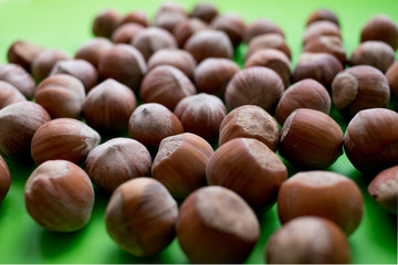 hazelnut nut on green background