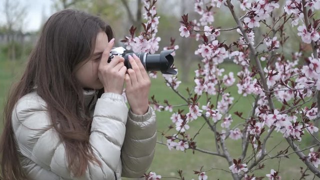 Beautiful girl photographer. A young girl photographer takes pictures of a blossoming tree.
