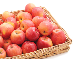 Apples in the basket.