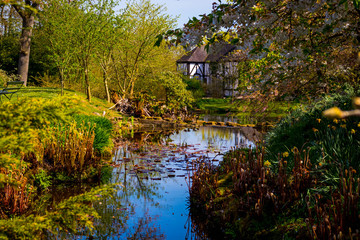 Fototapeta na wymiar Beautiful view of water feature in Hodnet Hall Gardens in Hodnet