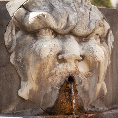 Fototapeta na wymiar Fontana del Boccalone