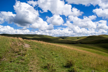 green field and blue sky