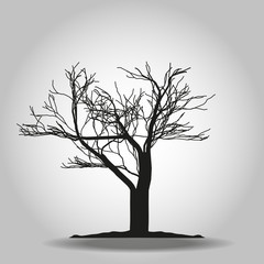 Tree icon. Forest symbol. Flat web sign on white background. Vector eps 10