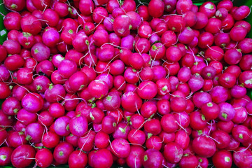 Fresh radishes background