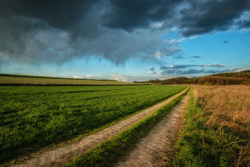 rural road in the field