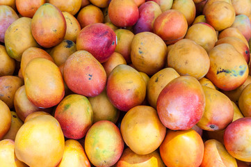 Mangoes sold at shuk hacarmel market, Tel Aviv, Israel