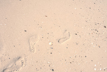 Fototapeta na wymiar Seashells and footprints in the sand