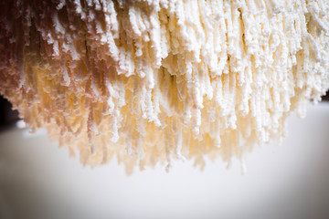 Sieve with cheese. Macro.