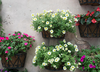 colourful flower pots hanging on a wall
