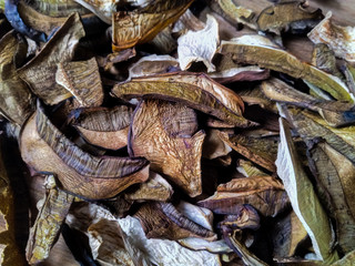 Dried mushrooms for food preparation and cooking, kitchen spices.