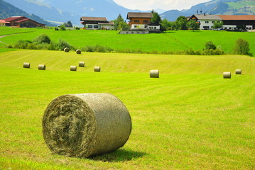 Austria_field_hay_house_landscape