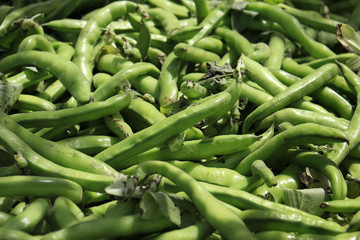Fava Bean Pods Heap