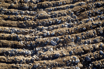 Looking down at freshly graded ground with stones with morning light and shadows.