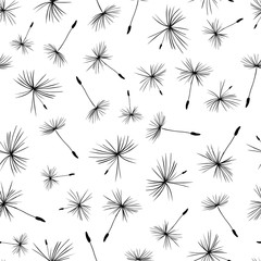 Monochrome Dandelion seeds seamless vector background repeat 