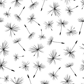 Monochrome Dandelion seeds seamless vector background repeat 