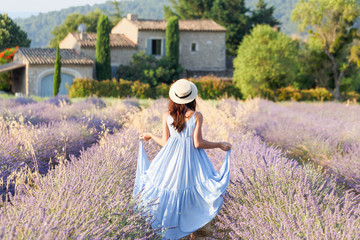 Lovely girl walking by blooming lavender fields in Luberon area in Provence, France. Beautiful girl...