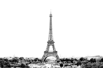 Black and white photo of Paris panorama with a view of the Eiffel Tower in France. Isolated on white background. - 265535493