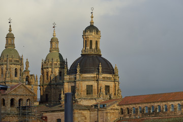 Fototapeta na wymiar Università di Salamanca