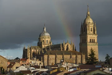 Deurstickers Università di Salamanca © apsc61