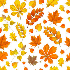 Fototapeta premium autumn pattern with fallen leaves of different colors