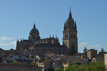 Fototapeta na wymiar Università di Salamanca