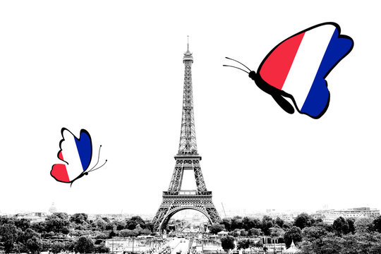 Black and white photo of Paris panorama with a view of the Eiffel Tower with butterflies around in the colors of the national flag of France. Isolated on white background.