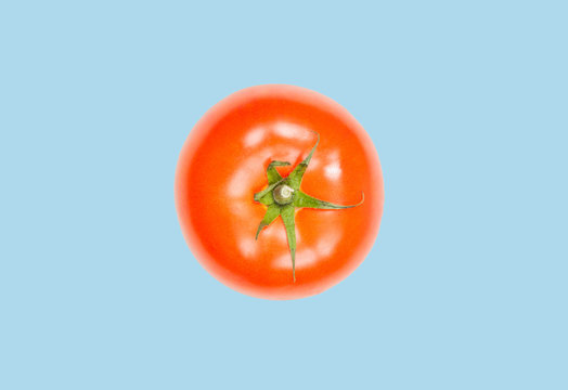 Tomato levitate in air on blue pastel background. Concept of vegetable levitation.