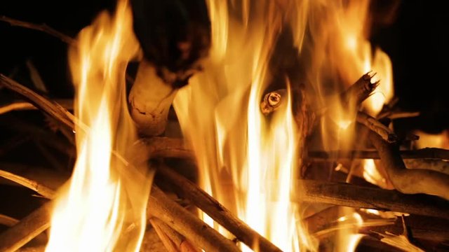 Extreme close-up shot of a bright steady traditional fire flame at an indigenous forest, Qld Island, Australia