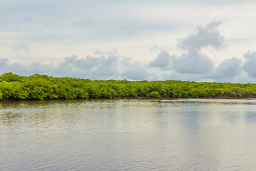 Rio em Mundaú - CE, Brasil.