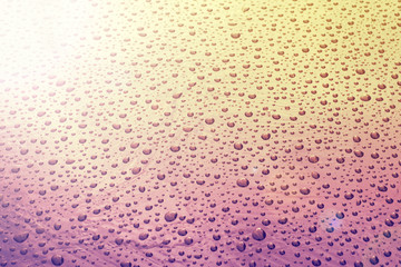 drops of water-repellent surface, after the rain