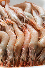 Gambas frescas de Huelva crudas.