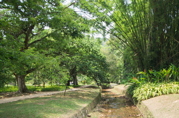 Botanical Garden of Rio de Janeiro Brazil.