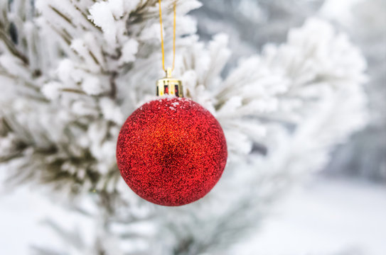 A red Christmas tree toy hanging on a frozen coniferous branch in a winter frosty forest. Bright photo for New Year's holiday card. There is a place for text.