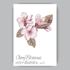 cherry blossom sprig hand-drawn in pink, brown, green colors