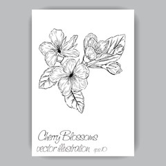sprig of cherry blossoms hand-drawn in black and white