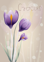 Romantic lilac Crocus with leaves and blades of grass