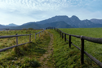 Fototapeta na wymiar Rural road with fence on both sides