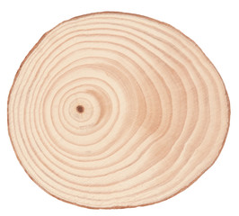 Rings on wooden log cross section wooden background