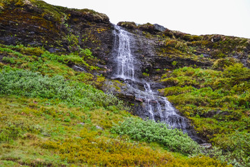 Obraz premium Trolltunga hike, Lake Ringedalsvatnet, Norway, Beautiful scandinavian landscape, Scandianavia, summer nature. Hike starts from Odda town