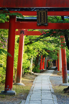 Stone Path and Japanese Arches