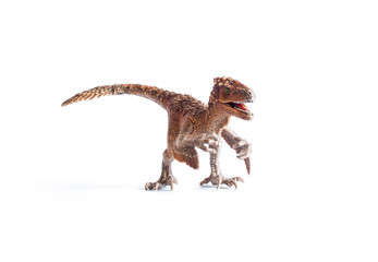 Plastic dinosaur syntarsus isolated on white background