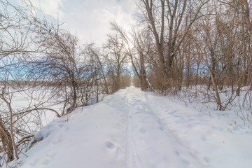Snowy wintery nature forest foot path through forest - cross country skiing, hiking, fat tire bike recreation -in the Minnesota Valley National Wildlife Refuge