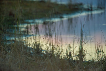 Wetland shoreline at dusk / early evening with blue, purple, orange cloudy sky reflected on the calm lake shoreline waters in the grasslands / prairie of the Crex Meadows Wildlife Area in Wisconsin