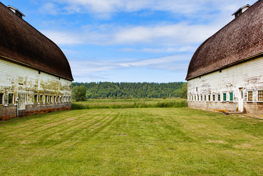 Old barns on farm, Olympia, Washington, United States