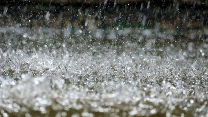 regen wasser  Potsdam 